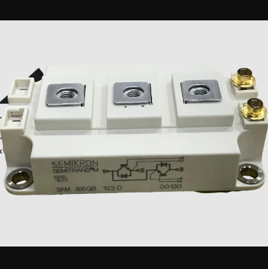 SKM300GB123D